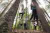 Climbing park at Storjord